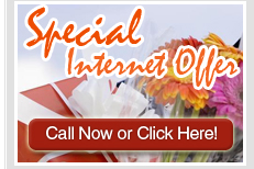 Special Internet Offer